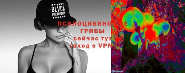 винт Балахна