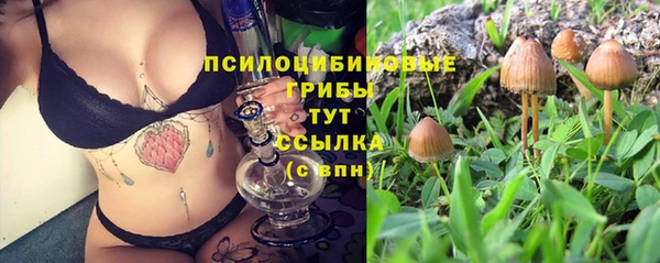 соль ск Балабаново