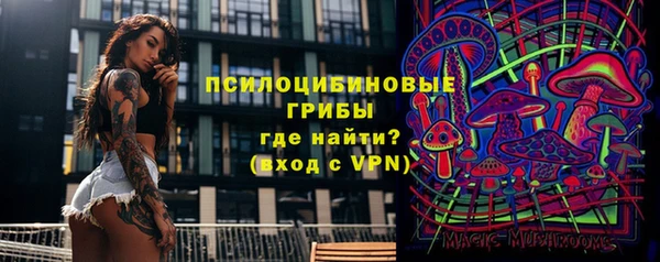 мяу мяу мука Баксан