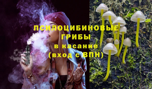 мяу мяу мука Баксан