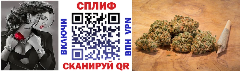 Бошки марихуана конопля  Куйбышев 